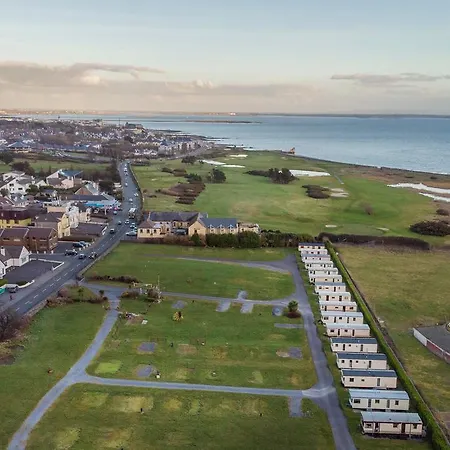 Gentian By The Sea Side In Salthill *