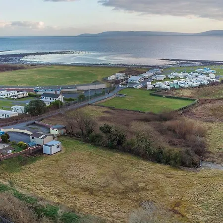Gentian By The Sea Side In Salthill *